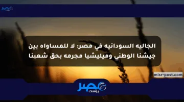 الجالية السودانية في مصر: لا للمساواة بين جيشنا الوطني وميليشيا مجرمة بحق شعبنا